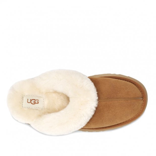 UGG Disquette Chestnut