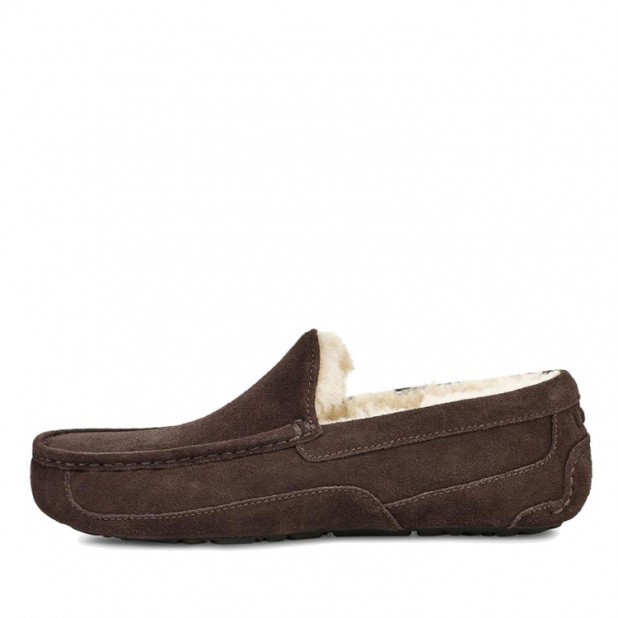 UGG Men's Ascot Chocolate