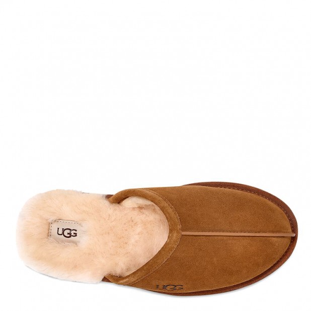 UGG Men's Scuff Chestnut