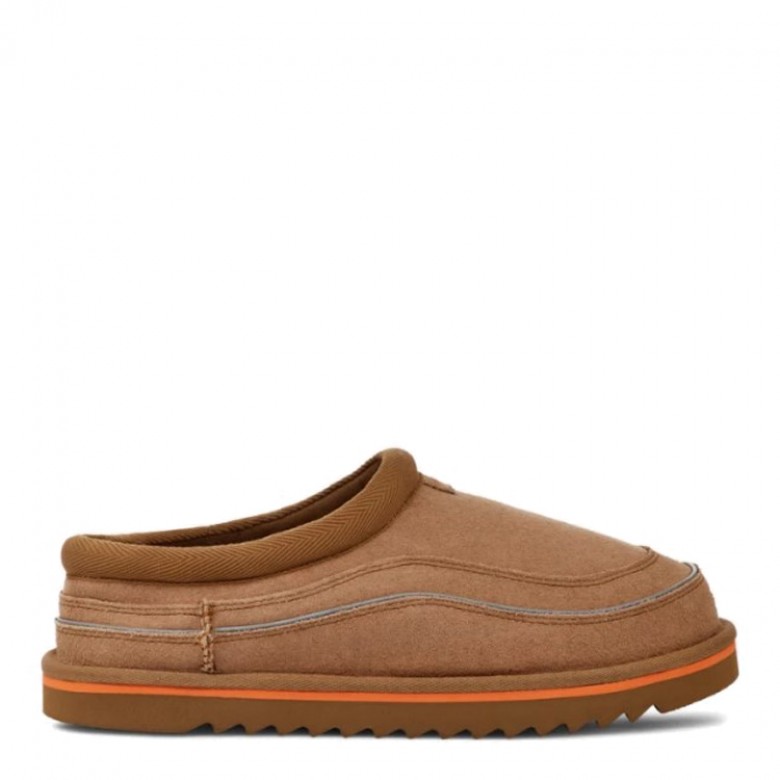 UGG Tasman Cali Wave Chestnut Orange Soda